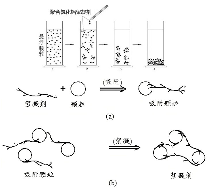 聚合氯化铝絮凝剂絮凝吸附沉淀过程示意图